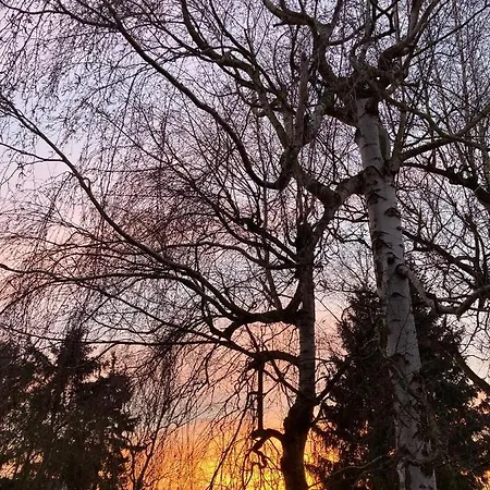 Gartenblick In Brieden