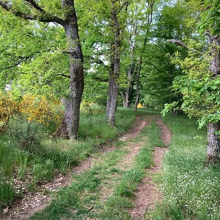 Gartenblick In Brieden