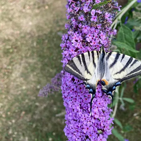 Gartenblick In Дом отдыха
