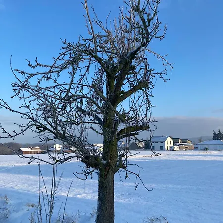 Дом отдыха Gartenblick In *