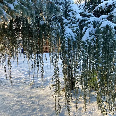 Дом отдыха Gartenblick In