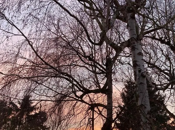 Gartenblick In Brieden