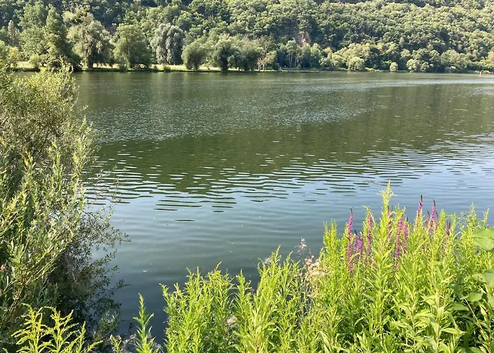 Semesterbostad Gartenblick In Brieden