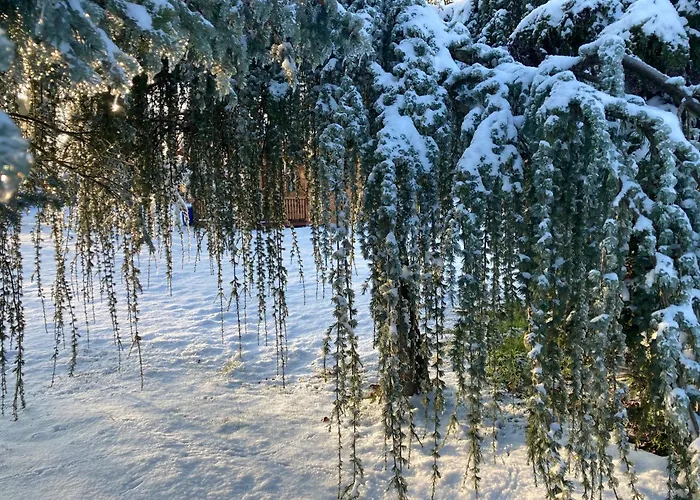 Semesterbostad Gartenblick In