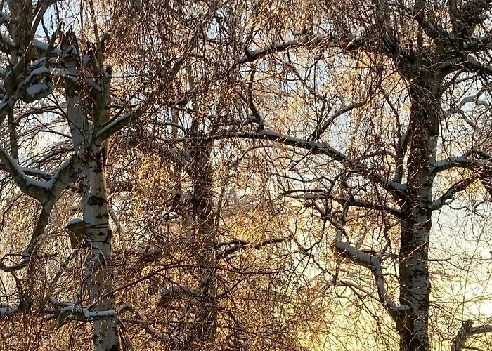 Semesterbostad Gartenblick In *